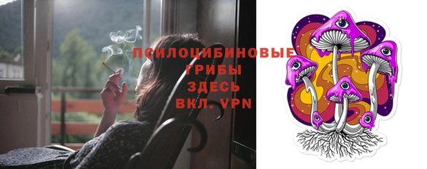 сатива Беломорск