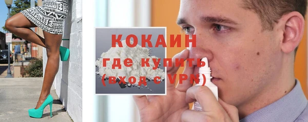 сатива Беломорск