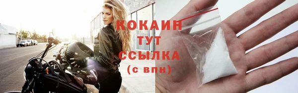 сатива Беломорск