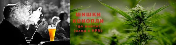 ПСИЛОЦИБИНОВЫЕ ГРИБЫ Белокуриха