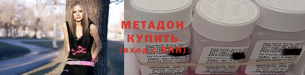 сатива Беломорск