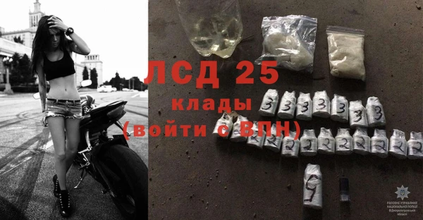 сатива Беломорск