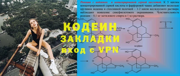 сатива Беломорск