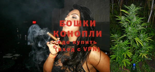 ПСИЛОЦИБИНОВЫЕ ГРИБЫ Белокуриха