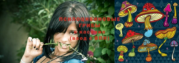 ешки Белоозёрский