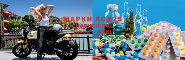 ПСИЛОЦИБИНОВЫЕ ГРИБЫ Белокуриха