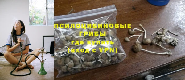 сатива Беломорск