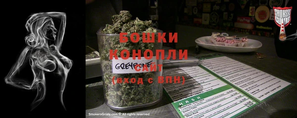 сатива Беломорск