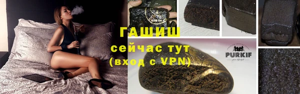 сатива Беломорск
