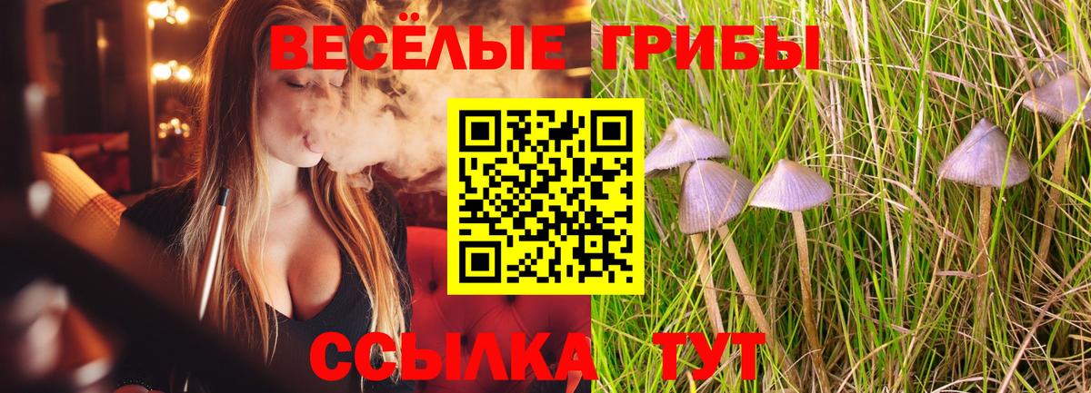 Галлюциногенные грибы MAGIC MUSHROOMS  Вход с VPN  Наро-Фоминск 